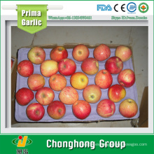 2015 Liaoning Jiguan Apple